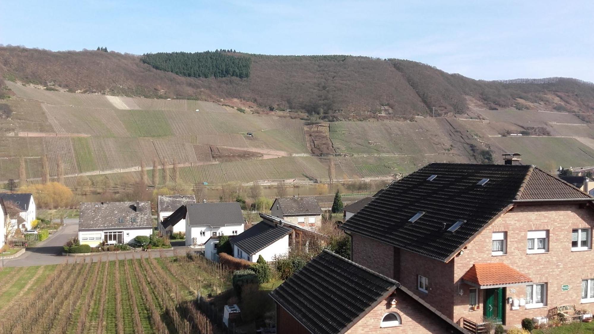 Gaestehaus Moselblick Trittenheim Exterior photo